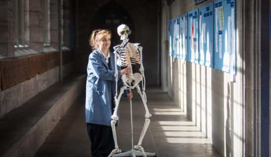 Trimestre Académico Internado