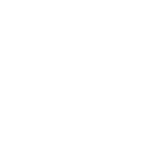 24-25 CSIET International Associate Logo BLANCO