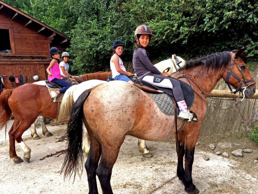 campamento de verano hipica